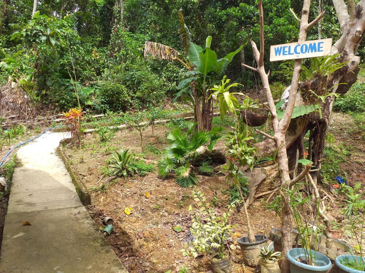 Forest Camp El Nido Dış mekan fotoğraf