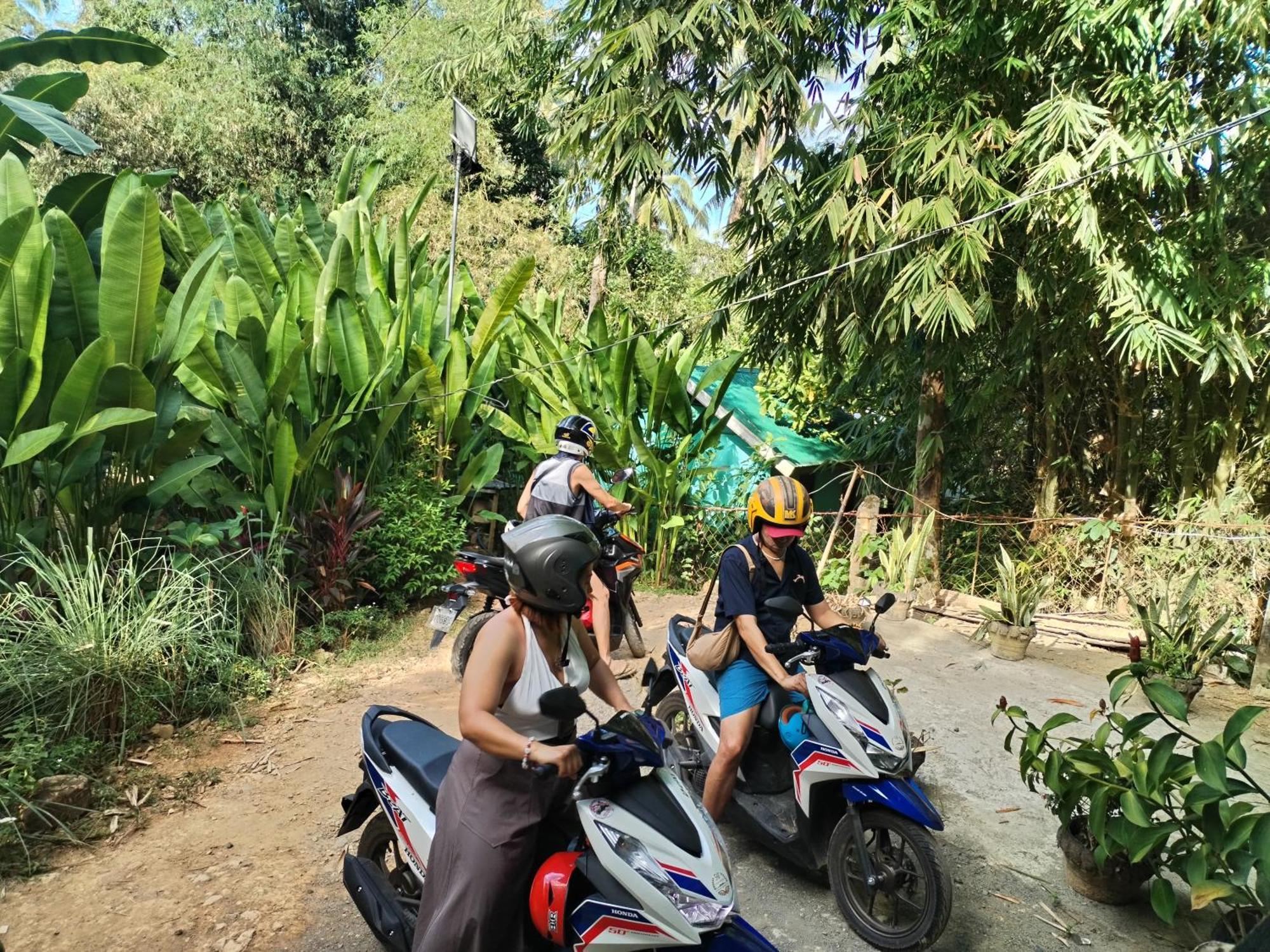 Forest Camp El Nido Dış mekan fotoğraf