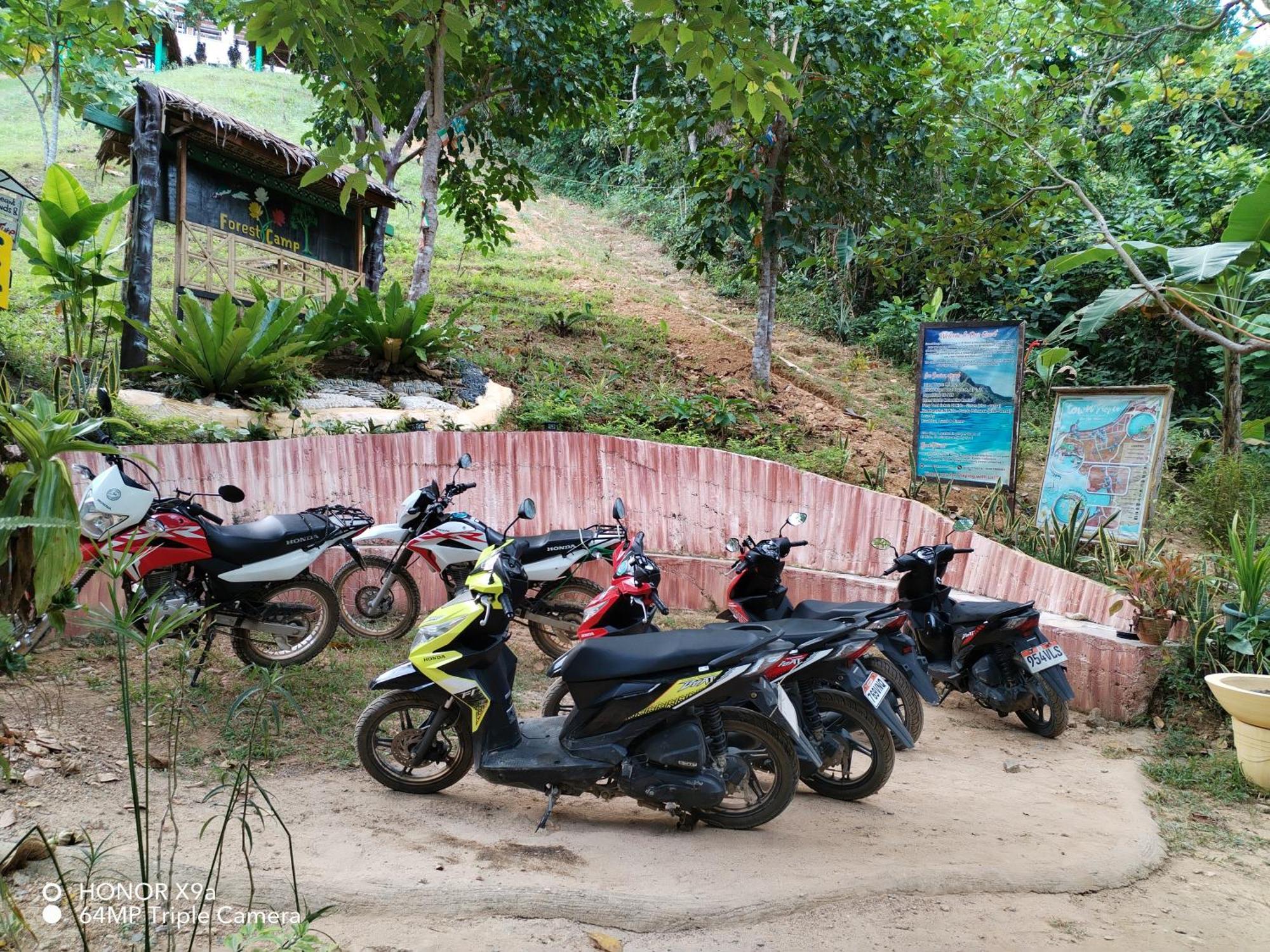 Forest Camp El Nido Dış mekan fotoğraf