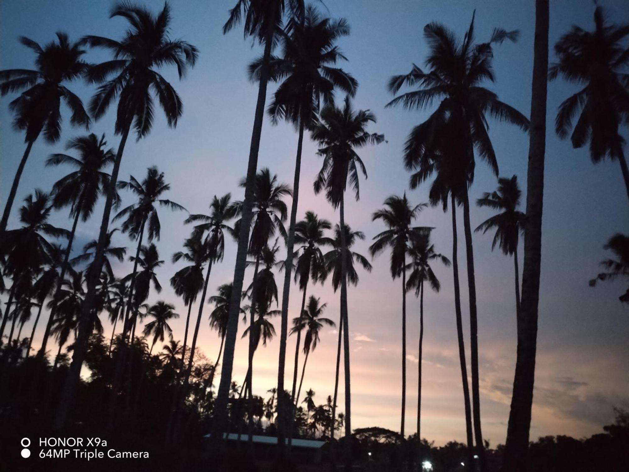 Forest Camp El Nido Dış mekan fotoğraf